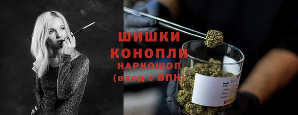 мяу мяу мука Гусь-Хрустальный