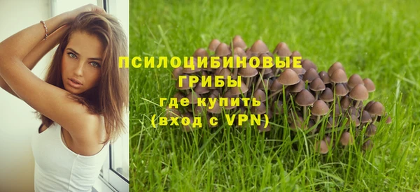 скорость Дмитров