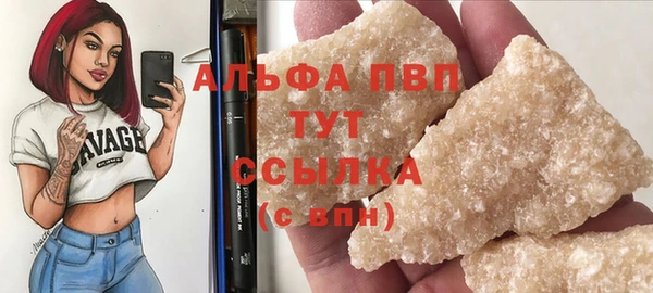 PSILOCYBIN Гусиноозёрск