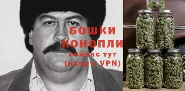 мяу мяу мука Гусь-Хрустальный