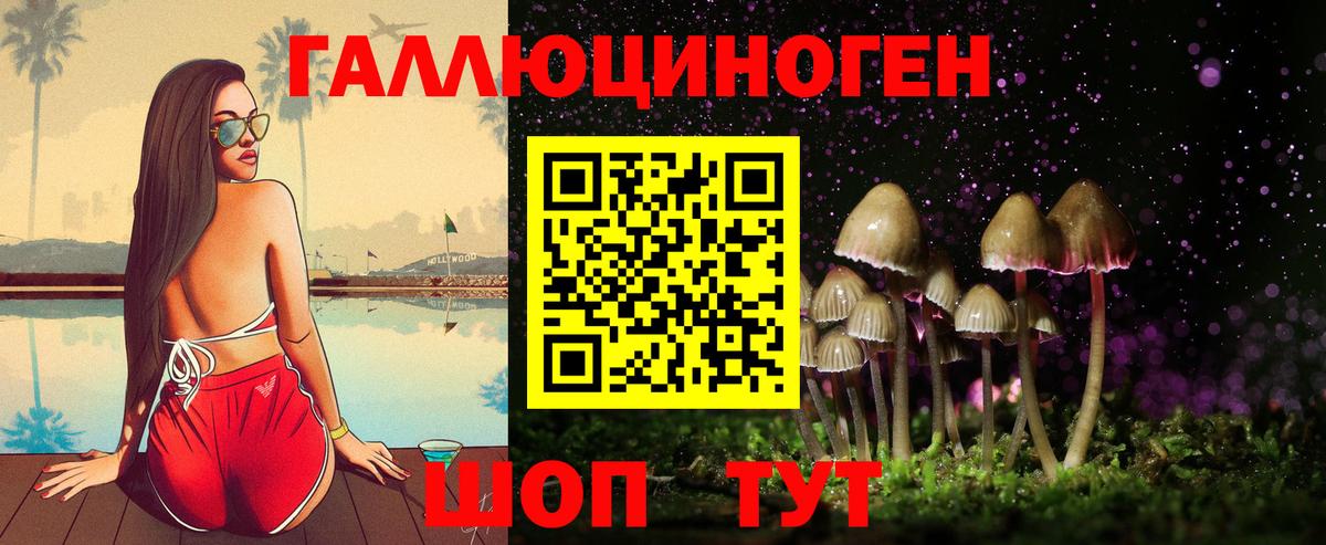 Кизилюрт  Галлюциногенные грибы прущие грибы  Вход с VPN  Галлюциногенные грибы ЛСД 