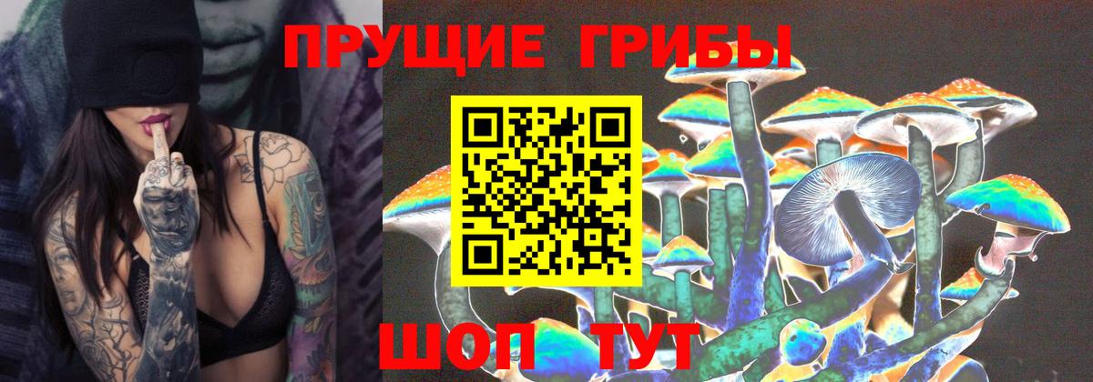 Псилоцибиновые грибы Psilocybine cubensis Кизилюрт